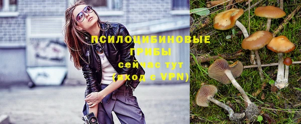 PSILOCYBIN Алексин