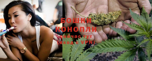 PSILOCYBIN Алексин