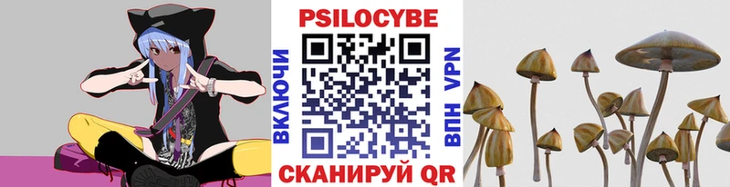 Галлюциногенные грибы GOLDEN TEACHER  Слюдянка 